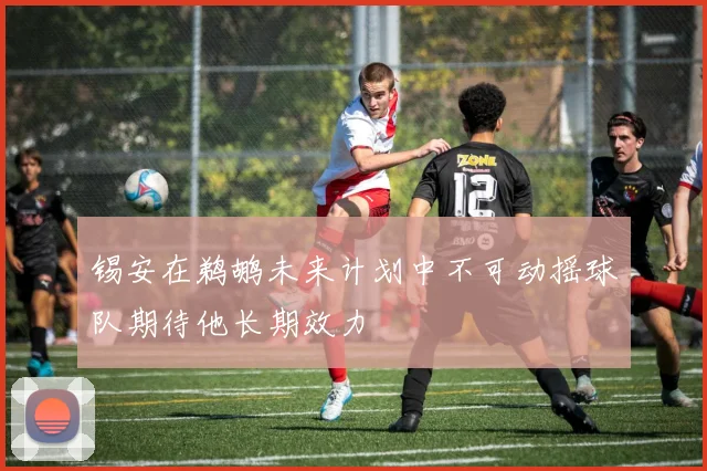 锡安在鹈鹕未来计划中不可动摇球队期待他长期效力